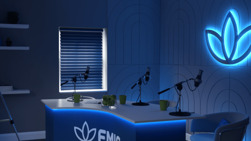 Podcast studio build